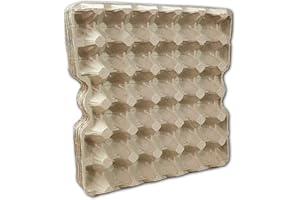Ingbertson Cajas de huevos para huevos de gallina, sin estampado, 10 unidades, para 30 huevos
