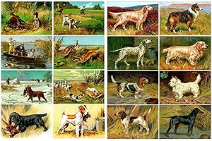 Decoupage Paper Pack (20 Sheets 10x15cm) Hunting Gun Dog FLONZ Vintage Ephemera Trading Card