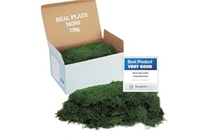 Mia Milano Mousse en Plaque conservée pour Le Bricolage I Mousse Naturelle Durable pour Tableaux de Mousse I Mousse Plate réutilisable