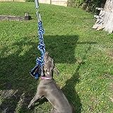 dog tug pole