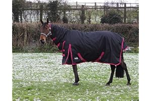 ASTILE Jump Equestrian Heavyweight Winter Combo Turnout Horse Rug 350g Full Neck Black With Blue/Raspberry Binding (6'6'', BLACK WITH RASPBERRY BINDING)