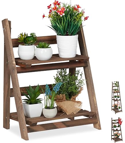 spiral bambus Lucky Spiral Bamboo | Lucky | Home Plants