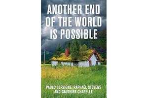 Another End of the World is Possible: Living the Collapse (and Not Merely Surviving It)