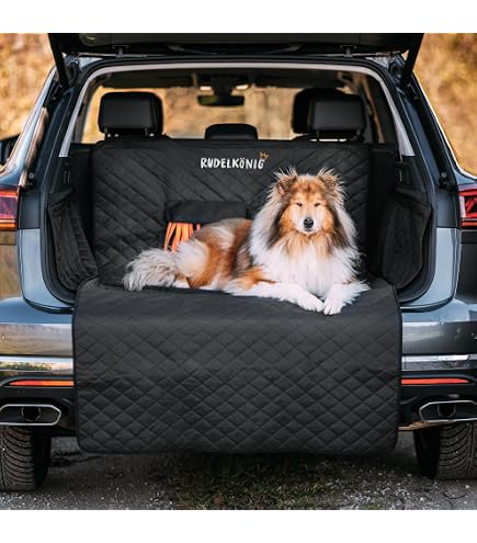 BETTEX comfort & style Autohundebett aus Kunstleder Autoschondecke  Kofferraumbox Hundebett Hundebox (100x80, grau) : Amazon.de: Haustier