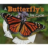 A Butterfly's Life Cycle (Explore Life Cycles)