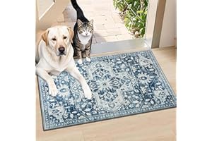 BedLooms Washable Door Mats Indoor & Outdoor - Non-Slippery Heavy Duty Front Door Mat - Stylish & Perfect Dust Grabbing Doormats - Super Absorbent Entrance Mat (Tranquil, 40cm x 60cm)