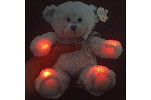 SPIRITSHACK Rem Bear – erkennt statisches EMF-Messgerät, Kii K-ii K2 Detektor, Pod, Geisterjagd, statischer Auslöser, paranormale Ausrüstung