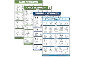 Palace Learning Kabelmaschinen-Workout-Poster, Band 1 & Band 2 + Hantelübungen + Körpergewichtsübungen (laminiert, 45,7 x 61 cm), 4 Stück
