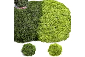 SEELENKLANG Mousse Artificielle Fausse Herbe Décoration - 200g Mousse Verte pour Décoration de Scène de l'Avent, Plantes en Pot et DIY(100g Vert Foncé + 100g Vert Clair)