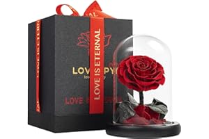 LOVAPPY Eternal Enchanted Forever Preserved Rose - Infinity Rose in Glass Dome - Made from Real Fresh Beauty Rose - Romantic Gifts for Female - Valentines Day - Gift for Mom (Red, 16,5 cm)…