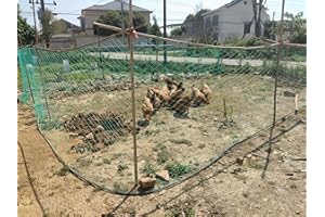 LINSOCLE Hühnernetz 1,5m x 25m | Geflügelnetz 5cm Grobmaschen | Hühnerzaun, Volierennetz & Geflügelschutznetz – UV-stabilisiertes Greifvogel Schutznetz Netz für Hühnergehege, Balkon,Garten