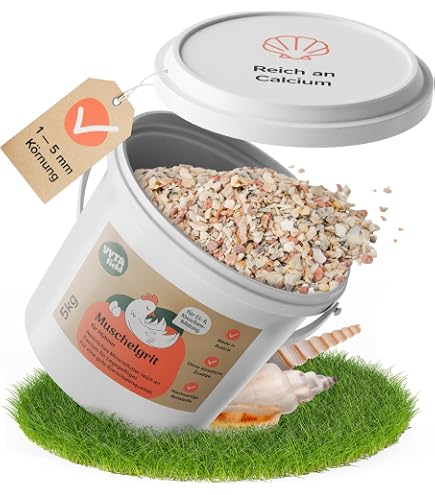 Muschelschalen grob gemahlen 500g | Kalzium | Achatschneckenfutter,  Schnecken, Schildkrten, Vgel, Reptilienfutter | Terrarium | Dekoration :  Amazon.de: Haustier