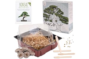 HAPPYSEED Bonsai Kit incl. eBook GRATUITO - Set de plantas con mini invernadero, semillas y suelo - idea de regalo sostenible para los amantes de las plantas (Semillas: Wisteria + Granada Enana)