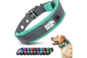 Black Rhino el Comfort Collar Collar de Perro Ultra Suave Neopreno Acolchado para Todas Las Razas de Altas prestaciones Ajustable Reflectante Resistente a la Intemperie (Grande, Aqua/Gris)