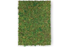 Netuno Muschio Verde Naturale A4 297x 210 mm Muschio Decorativo on Tessuto Muschio Naturale a Tappeto Decorazione Naturale per Pasqua Natale Muschio di Foresta per terrario Muschio stabilizzato