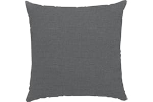 chilly pilley Coussins Décoratifs Coussins De Canapé Petits Coussins De Jardin 2X 50x50 cm Argent