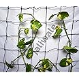 WORLD NET ENTERPRISE Wne Jaliwale Plant Climbing Net & Creeper Support For Agriculture And Gardening Netting Black Colour 6Ft X 3 Ft