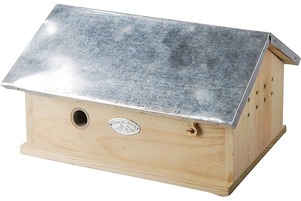 Esschert Ruche à Bourdon en Bois