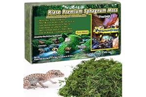 Riare Mousse de sphaigne Naturelle de qualité supérieure pour Reptiles - Mousse Verte Vivante pour Terrarium, éclosion, substrat de sphaigne forestière pour Serpents, Gecko (600g)
