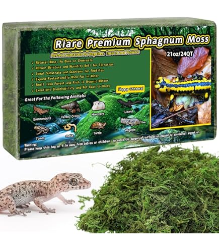 Swell Terrarium Moss - Rainforest Substrate