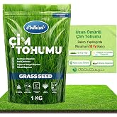 Equivalent Perennial Grass Seeds 1 Kg Long Lasting 6-Piece Mix Shade and Extremely Sunny Area Easy to Grow 4 Seasons
