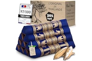 Livasia Coussins de Soutien Dorsal en Soie thaï - 32x55x30cm - Coussins triangulaires pour Le Jardin et Le Balcon, Coussins en biseau en kapok, Faits Main (Bleu/Éléphants Soie)