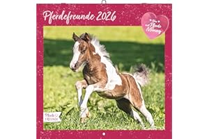 ‎ALPHA EDITION Alpha Edition - Pferdefreunde Kalender 2026 – Broschürenkalender 30×30 cm mit Pferde- & Ponyfotos von Christiane Slawik, Kinderkalender mit Stundenplänen, Ferientabelle & Extra-Spiel