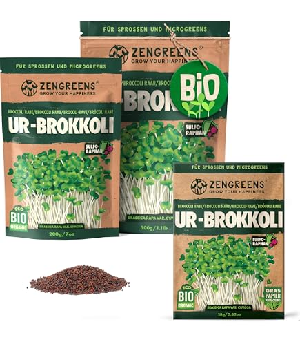 tegutBio zum kleinen Preis Saatgut Rucola : Amazon.de: Garten