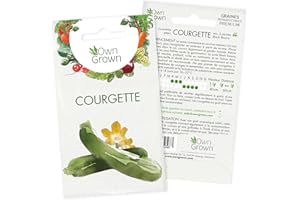 Graines de courgette (Cucurbita pepo), graines de courgette à cultiver OwnGrown, graines pour environ 5 plants de la variété vert foncé Black Beauty