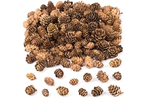 Baker Ross AC492 Lange Lärchenzapfen, im Vorteilspack, ideal für Bastelarbeiten für Kinder, Weihnachten, sensorische Stimulation und mehr, 250 g, Sortiert