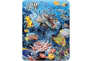 ‎3D LIVELIFE 3D LiveLife Magnet - Riffwunder von Deluxebase. Linsenförmige 3D Korallen Kühlschrankmagnet. Dekoration für Kinder und Erwachsene mit Kunstwerk lizenziert von bekannt Künstler, Steven Michael Gardner