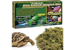 Riare Natürliches Sphagnum Moos für Reptilien 200g Terrarienmoos Ziegel für Reptilien Natürliche lebende Moos Reptilien Erhöhung der Luftfeuchtigkeit für Bequem Reptilien Lebensraum (200g)