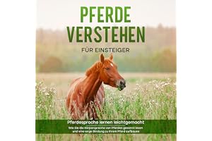 Pferde verstehen für Einsteiger - Pferdesprache lernen leichtgemacht: Wie Sie die Körpersprache von Pferden gekonnt lesen und