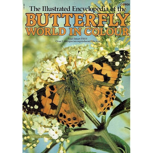 The International Butterfly Book 英語版 初版本 The Illustrated Encyclopedia of the Butterfly World: over