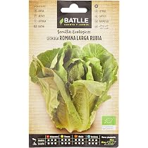 Semi Di Insalata Batavia - Varietà Resistente Al Freddo Per Orto E Giardino - Foto 8