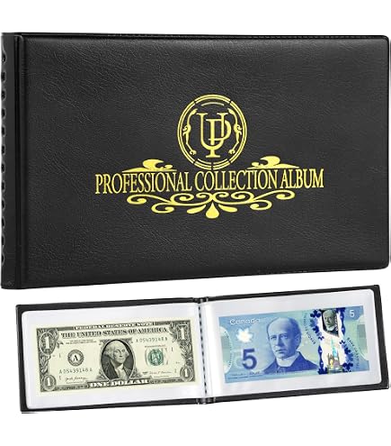 SAFE 227 Mini classeur pour 40 pièces de monnaies 38mm - classeur de pièces de collection visible recto verso I 110 x 120 mm SAFE 227 Mini classeur pour 40 pièces de monnaies 38mm - classeur de pièces de collection visible recto verso I 110 x 120 mm
