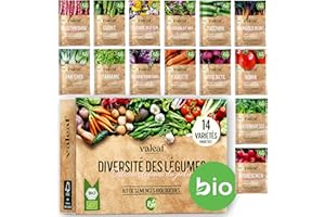 valeaf kit de graines de légumes I assortiment de semences prêt à pousser I 14 délicieuses variétés de légumes biologique I graines pour le jardin et potager
