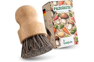 ‎LAMPOX lampox - Pilzbürste, Champignonbürste, Küchenbürste, Gemüsebürste, Reinigungsbürste, Kartoffelbürste, Wurzelgemüse, zur Reinigung von Pilzen und Gemüse, Bambusgriff und Rosshaar