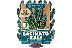 ZenGreens® - Ekologiczne nasiona Jarmuż Toskański Nero di Toscana