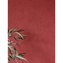 Carta Da Parati Rossa Tinta Unita - Tessuto Non Tessuto, 10.05x0.53m, Rosso Ruggine, Moderna - Foto 6
