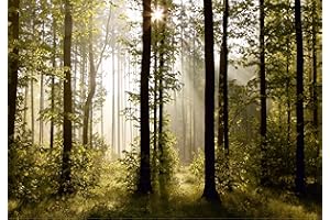 AG Design FTS 0181 Mural Fotográfico para La Pared, Multicolor, 0.1x360x254 cm