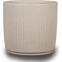Scheurich C-Cube High 54, vase/pot à fleurs/jardinière, carré, coloris