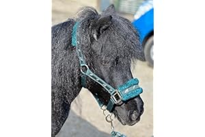 Equipride Horse Print Faux Lined Nylon Headcollars with Matching Lead Rope Green (Shetland)
