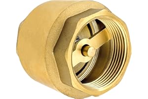 SHYNE Clapet Anti-Retour de 1 Pouce (26/34) en Laiton de Haute Qualité Robuste, Antirouille et étanche pour une Pompe, une Fontaine, une Machine à Laver, un Jardin, des Mégots de Pluie, Baril