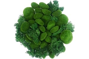 ‎N\A Woohome Künstliches Moos Steine Grüne Moosbälle Künstliche, 30 PCS Moos Steine Künstliche Moosfelsen Dekorative und 30G Konserviertes Grünes Moos für Blumenarrangements, Feengärten, Basteln