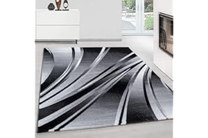 Teppium Tappeto Salotto a Pelo Corto Tappeto Soggiorno Nero 200x300 (200x290 cm) - Tappeto Camera de Letto Soffice e Morbido Moquette - Tappeti per Cucina Tappeto Sala Disegno Astratto