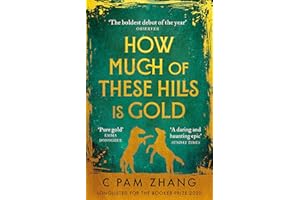 How Much of These Hills is Gold: ‘A tale of two sisters during the gold rush … beautifully written’ The i, Best Books of the Year: C Pam Zhang
