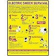 Emergency an Electric Shock May stun The Victim and They May Stop Breathing Check for Any Potential Danger PVC Waterproof Metallic Matte Finishing Sticker Safety Sign Signature (Factory Sign Sticker)