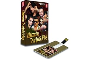 Ultimate Punjabi Hits (4 GB)