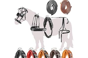 ‎ESPOSITA Esposita Einspännergeschirr „ Professional “ Kutschgeschirr für Shetty, Pony und Pferd Geschirr für Minishetty bis XL Kaltblut Fahrgeschirr für Einspänner